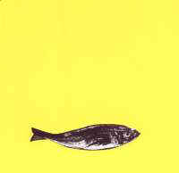 Listening with silence and watch the stars ...